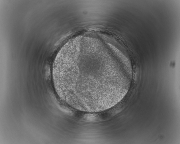 X0000111670704200908281111