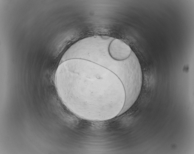 X0000111670705200908281111