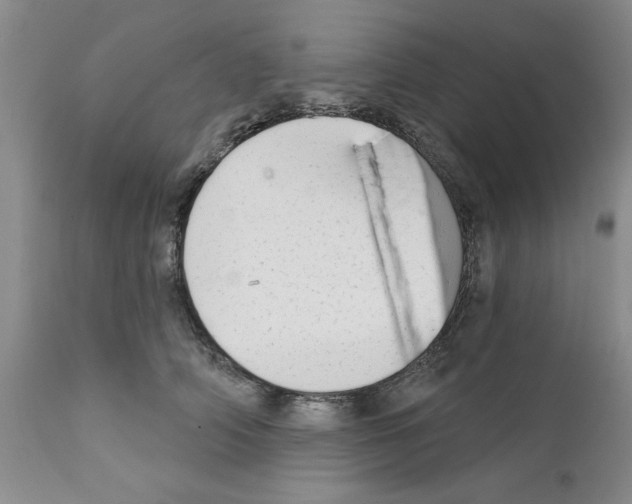 X0000111670706200908281111