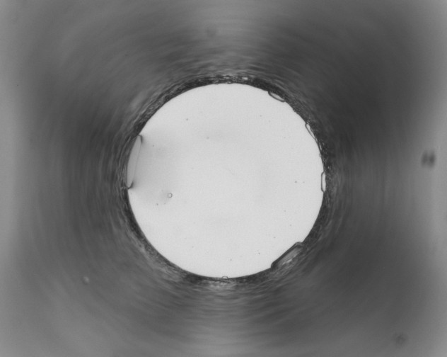 X0000111670709200908281111