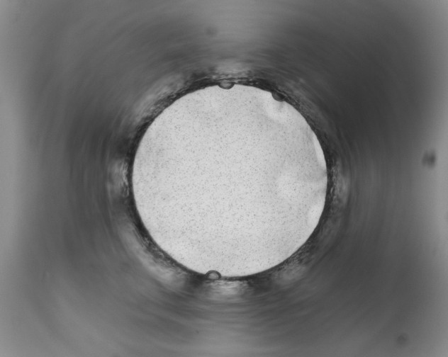 X0000111670711200908281111