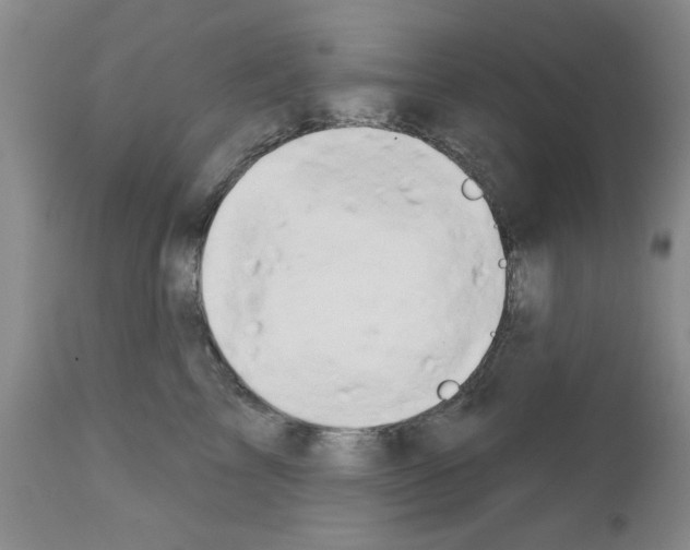 X0000111670713200908281111