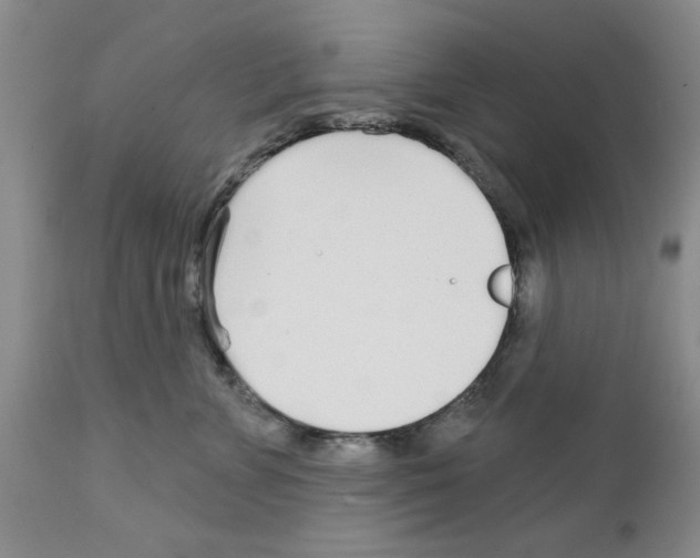 X0000111670715200908281111