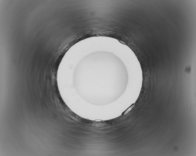 X0000111670716200908281111