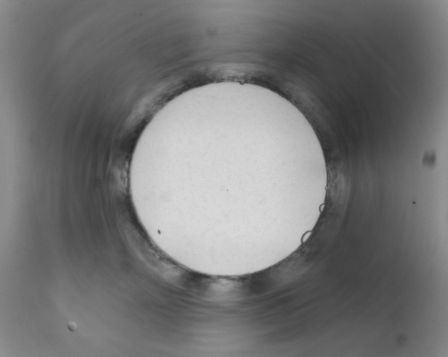 X0000111670718200908281111