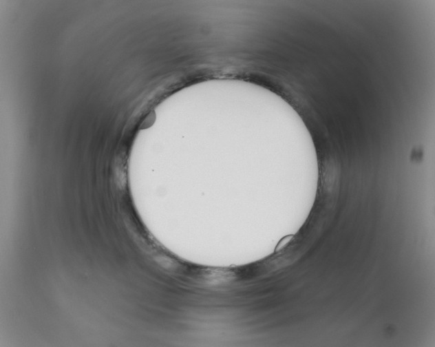 X0000111670719200908281111