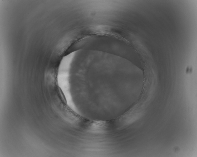 X0000111670720200908281111