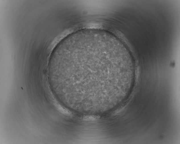 X0000111670721200908281110