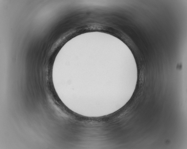 X0000111670722200908281110