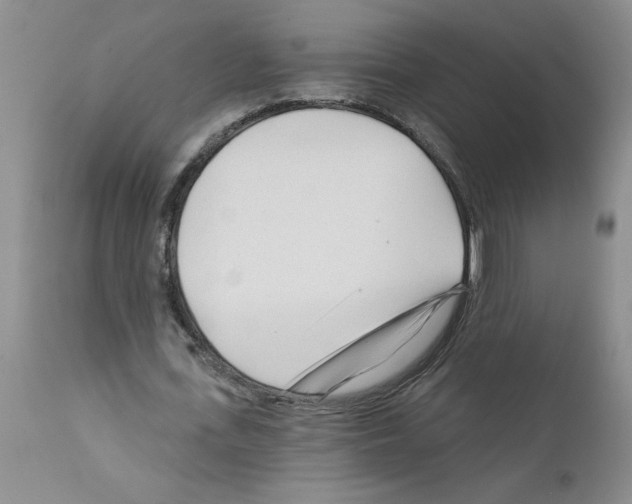 X0000111670723200908281110