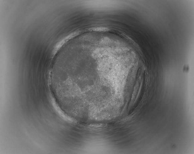 X0000111670725200908281110