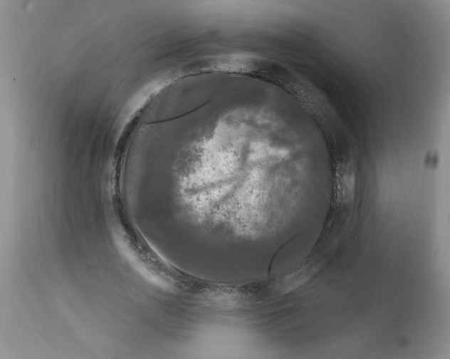 X0000111670726200908281110