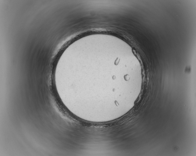 X0000111670728200908281110