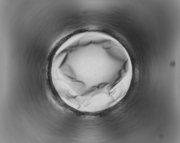 X0000111670730200908281110