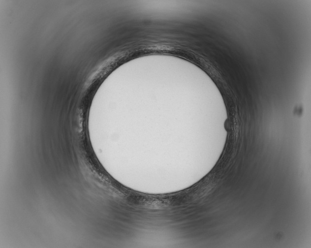 X0000111670731200908281110