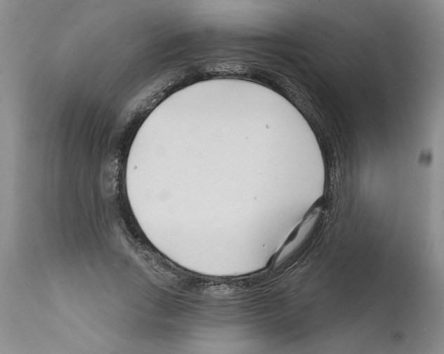 X0000111670735200908281110