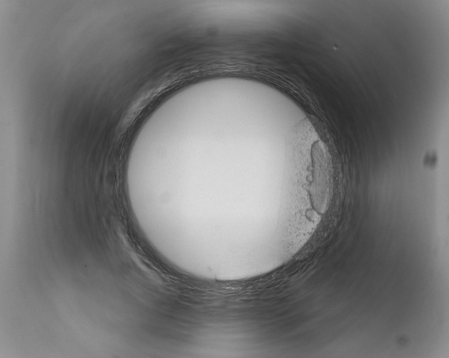 X0000111670736200908281110