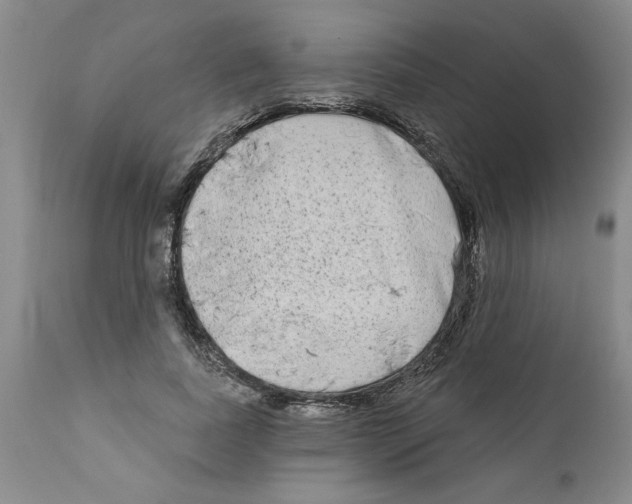 X0000111670739200908281110