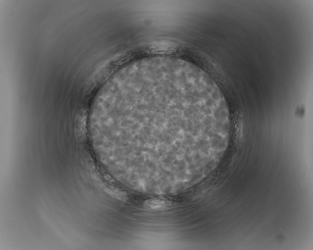 X0000111670745200908281110