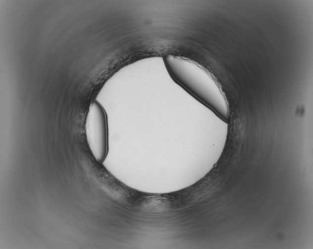 X0000111670750200908281111