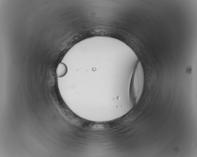 X0000111670751200908281111