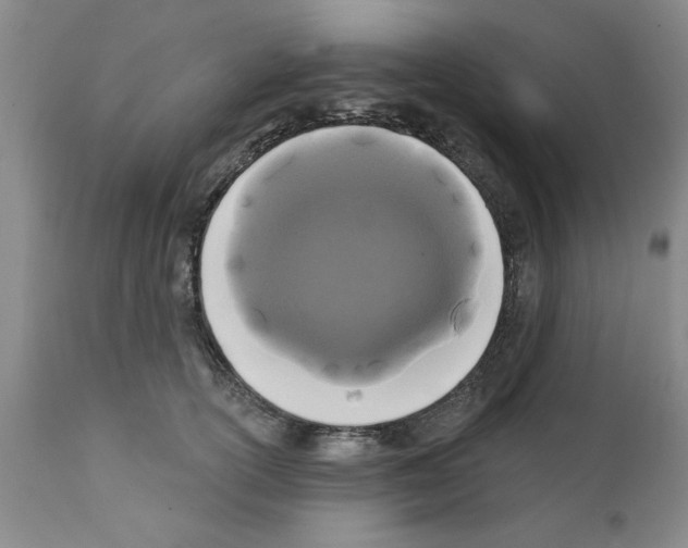 X0000111670754200908281111