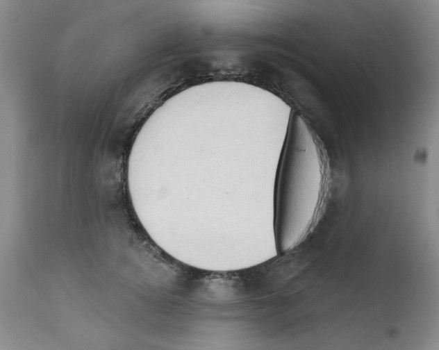 X0000111670756200908281111