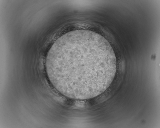 X0000111670757200908281111