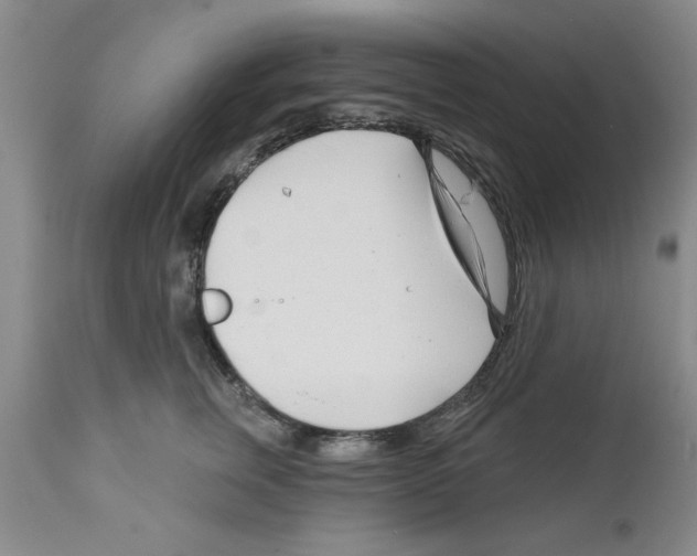 X0000111670759200908281111