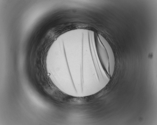 X0000111670763200908281111