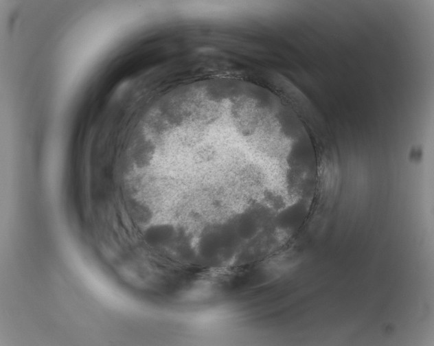 X0000111670765200908281111