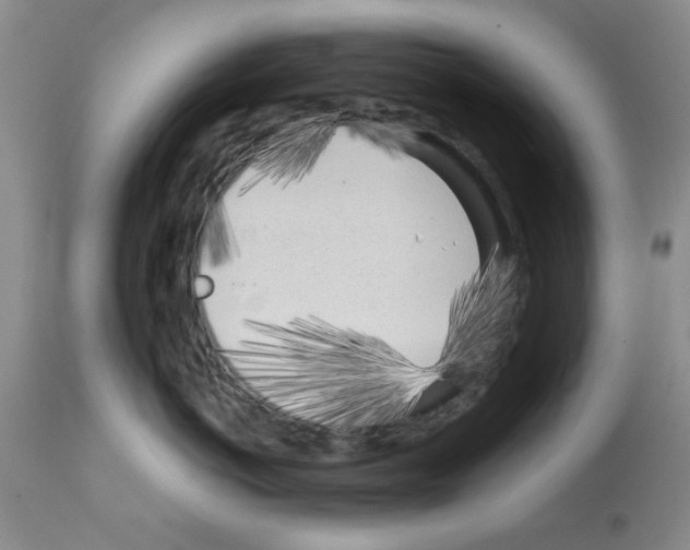 X0000111670766200908281111