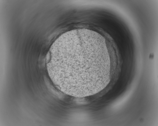 X0000111670767200908281111