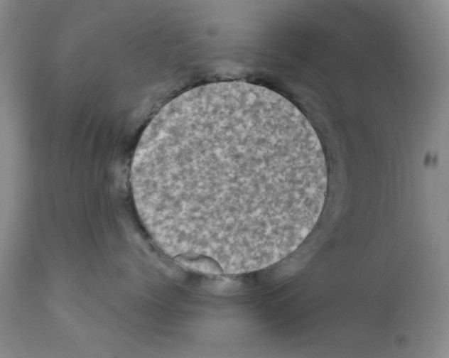 X0000111670768200908281111