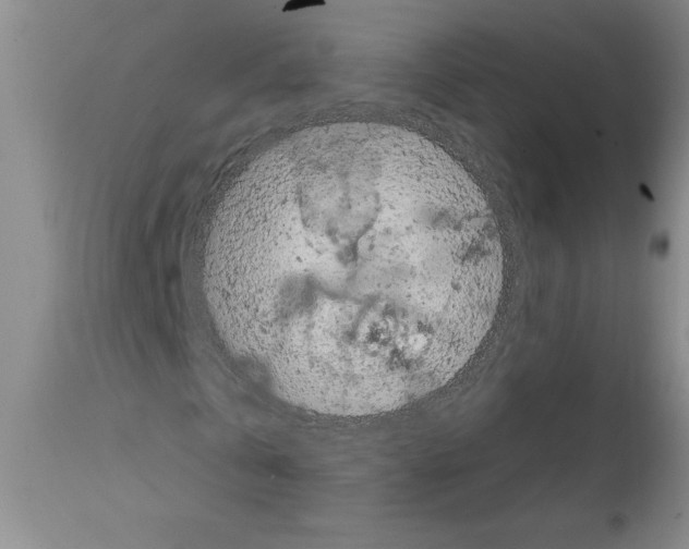 X0000111670769200908281110