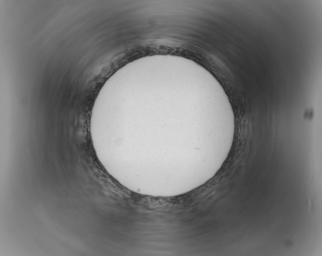 X0000111670774200908281110