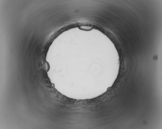 X0000111670776200908281110