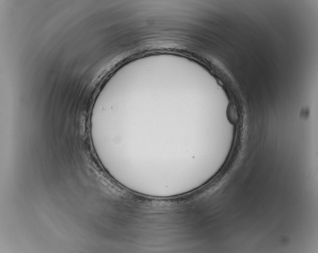 X0000111670777200908281110