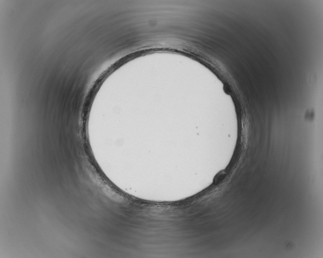 X0000111670780200908281110