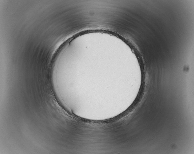 X0000111670781200908281110