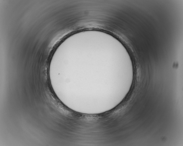 X0000111670782200908281110