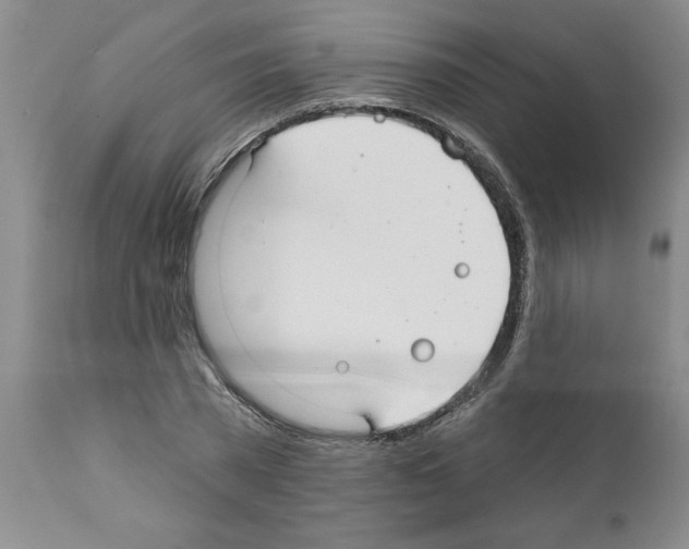 X0000111670785200908281110