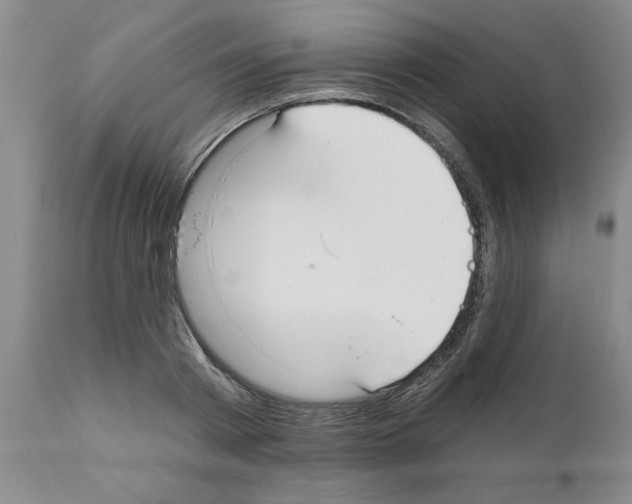 X0000111670793200908281110