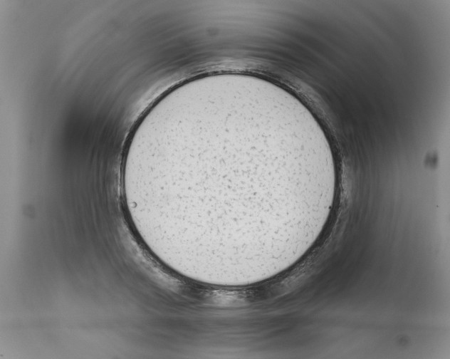 X0000111670794200908281110