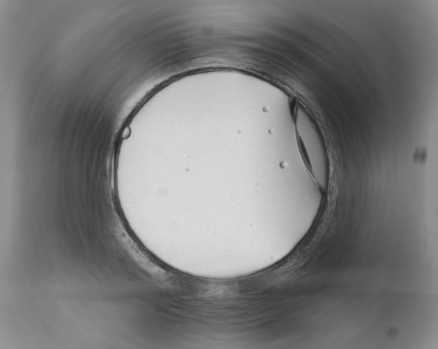 X0000111670796200908281110