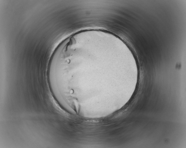 X0000111670797200908281110