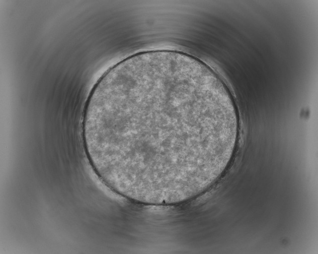 X0000111670805200908281109