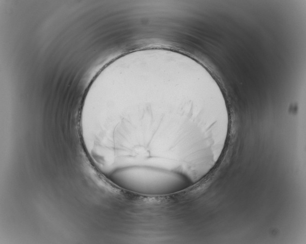 X0000111670806200908281109