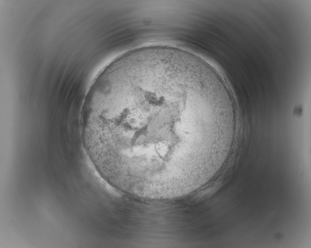 X0000111670807200908281109