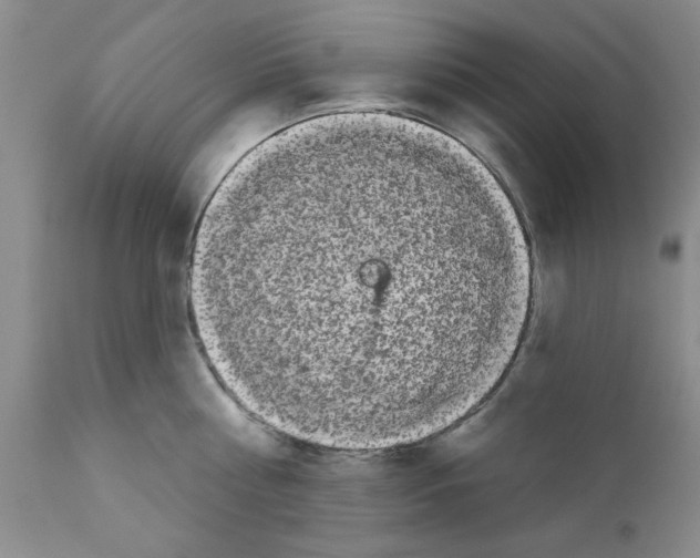 X0000111670810200908281109